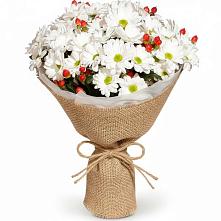 Букет цветов из:  Хризантемы #REPLACE_PRED# Медведево